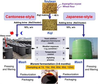 Comparative evaluation of the microbial diversity and metabolite profiles of Japanese-style and Cantonese-style soy sauce fermentation